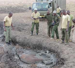 Babyfant-Rettung auf dem Weg nach Galdessa
