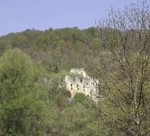 Ruine Schülzburg