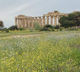 Selinunte