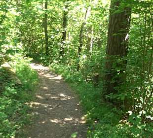 Wanderweg Sieben-Täler-Runde 