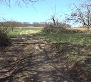 Premiumwanderweg "hochgeblickt"