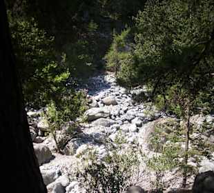 Kontraste der Schlucht