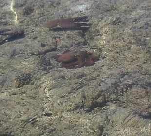 Vom Steg aus gesehen