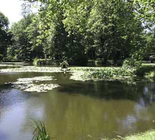 Englischer Garten