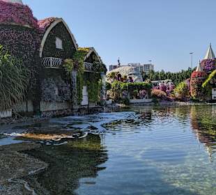 Miracle Garden