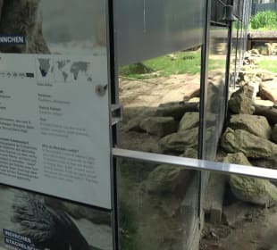 Zoo Heidelberg