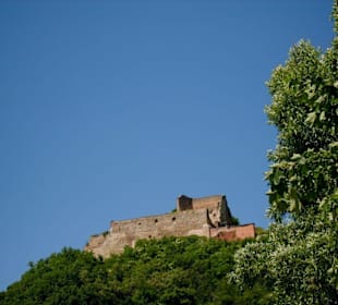 Burgruine Donaustauf