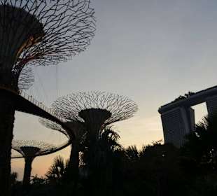 Skypark Marina Bay Sands