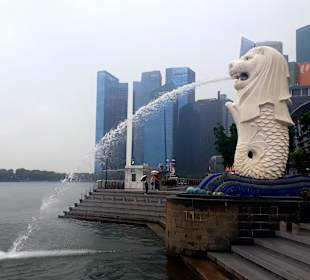 Merlion MBS