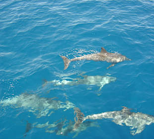 Bootstour (Delphine)