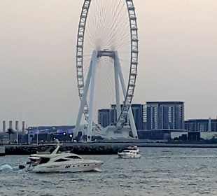 Ain Dubai von der Palm aus