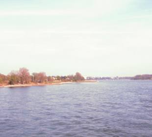 Rhein-Schifffahrt mit der Köln - Düsseldorfer