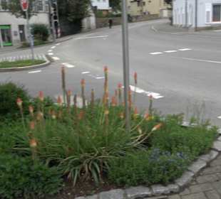 Eninger Krämer