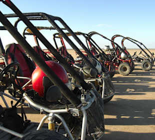 Buggy