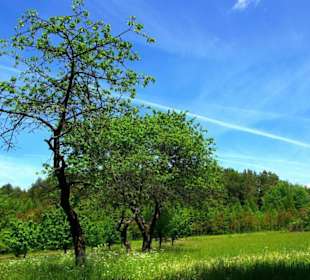 Wanderung zum Bärenfels