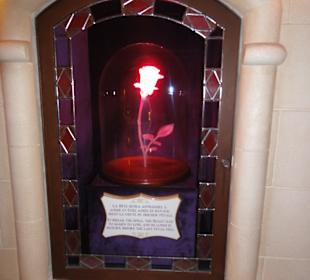 Schöne und das Biest