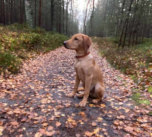 Wandern Trassenheide 