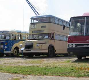 Bus