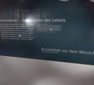 Museum für Naturkunde