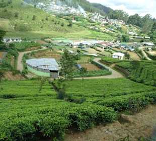 Hochland von Sri Lanka
