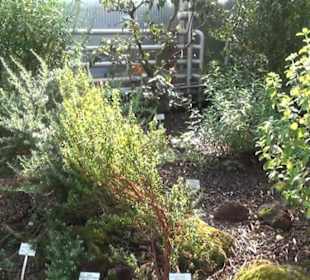 Kanarenschauhaus - Berggarten