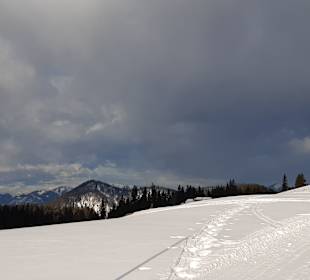 Skigebiet Winklmoosalm/Steinplatte