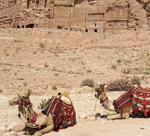 Petra - "Touritaxen" 