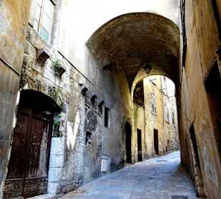 "Старый" Грасс