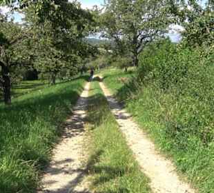 Hochgehnießen - Premiumspazierwanderweg
