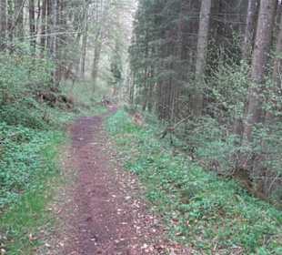 Premiumwanderweg Hochgebürzelt
