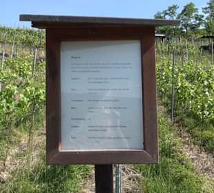 Weinlehrpfad Wurmlingen