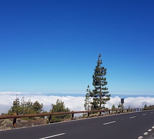 Teide Nationalpark