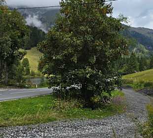 Gegenüber gutes Parken möglich