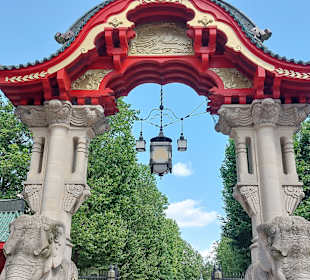 Berliner Zoo