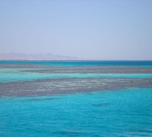 Korallenriff vor Hurghada