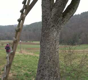 Wandergebiet Himbachtal