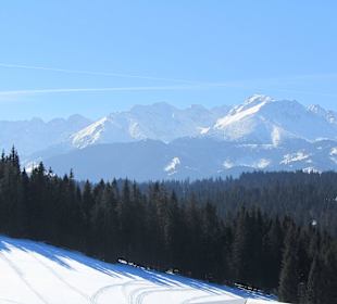 Widok z tarasu karczmy