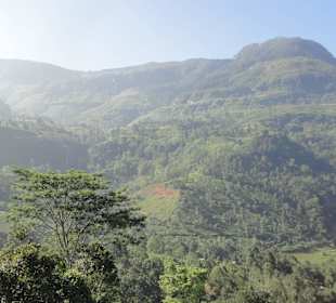 Nuwara Eliya