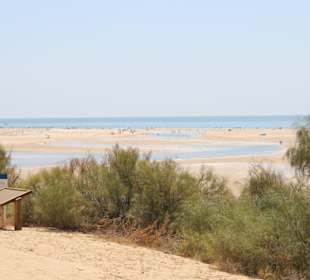 Blick in das Naturschutzgebiet