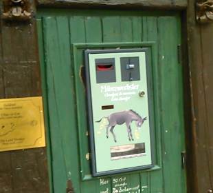 Themenbereich Märchenwald