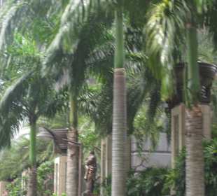 Vor dem Park View Square