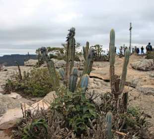 Auf dem Morro do Paí Inácio
