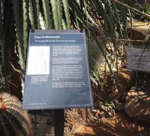 Botanischer Garten der Universität Zürich