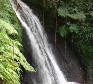 Bei den Wasserfällen