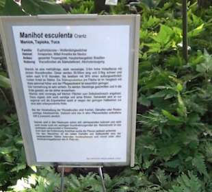 Botanischer Garten