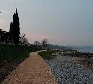 Seeufer (gegenüber vom Hotel)