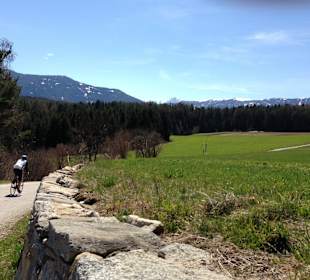 Rennrad im Pustertal