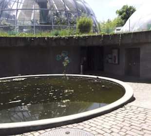 Botanischer Garten der Universität Zürich