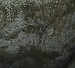 Coral Caves Mangapwani