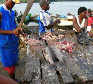 Sauber machen des Fisches